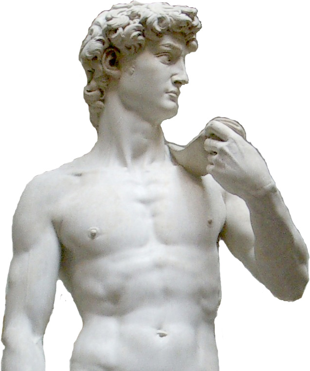 Michelangelo s David