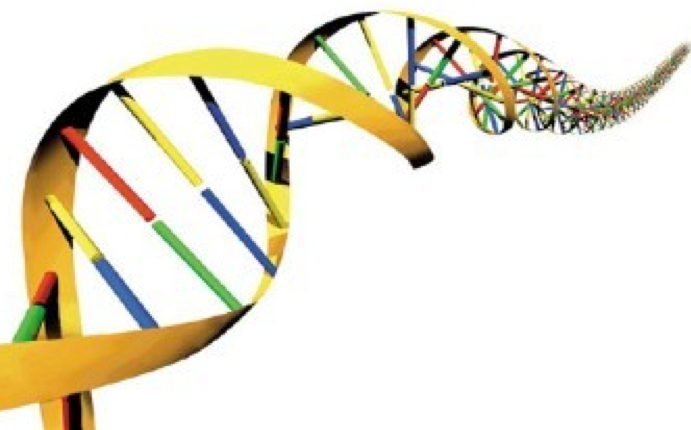 DNA code